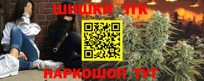 индика Моздок