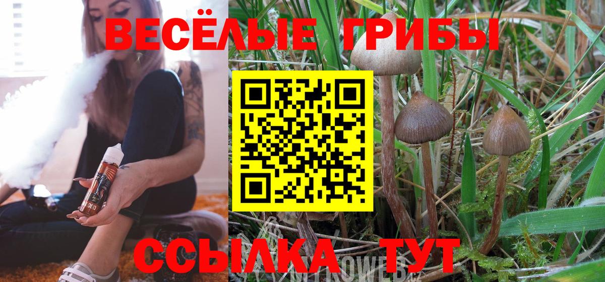 Галлюциногенные грибы Psilocybe  Вход с VPN  Ялта  Галлюциногенные грибы ЛСД 